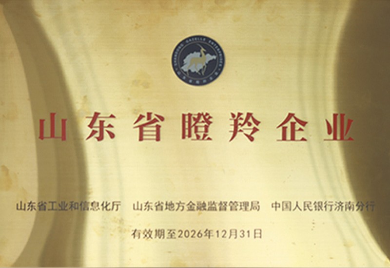 山東省瞪羚企業(yè)